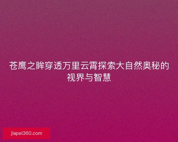 苍鹰之眸穿透万里云霄探索大自然奥秘的视界与智慧