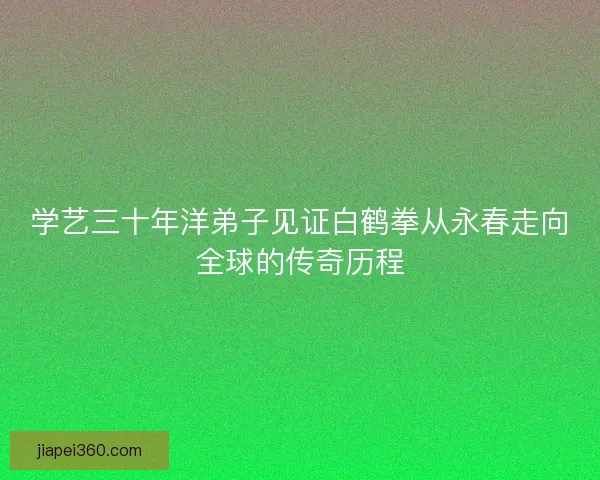 学艺三十年洋弟子见证白鹤拳从永春走向全球的传奇历程