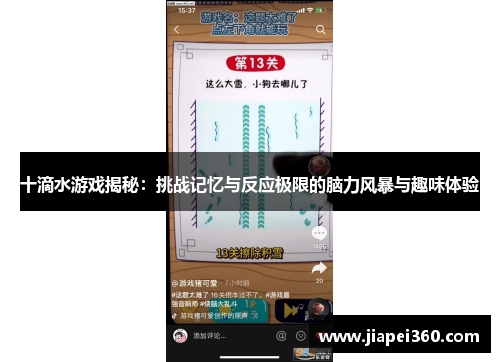 十滴水游戏揭秘：挑战记忆与反应极限的脑力风暴与趣味体验