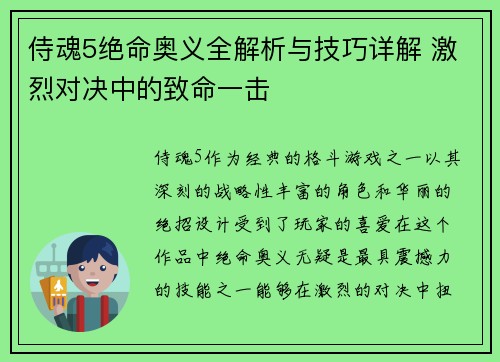 侍魂5绝命奥义全解析与技巧详解 激烈对决中的致命一击